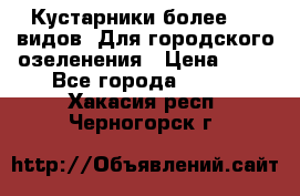 Кустарники более 100 видов. Для городского озеленения › Цена ­ 70 - Все города  »    . Хакасия респ.,Черногорск г.